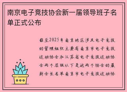 南京电子竞技协会新一届领导班子名单正式公布